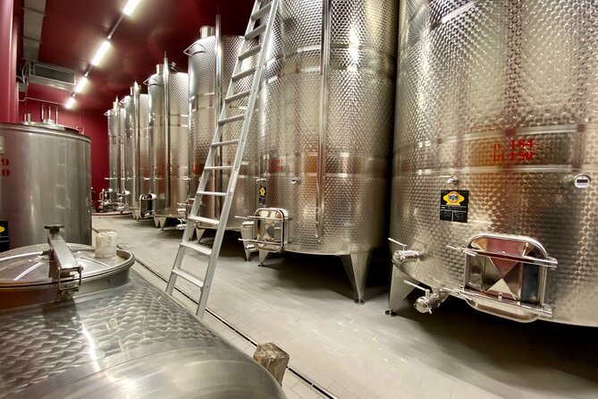 From Verona: private trip to Sirmione Lake Garda & Valpolicella Wine Region - The Amarone tasting