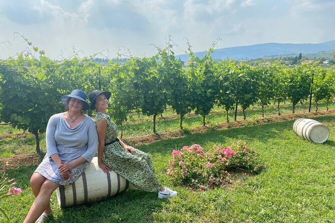 From Verona: private trip to Sirmione Lake Garda & Valpolicella Wine Region - Who should book this experience