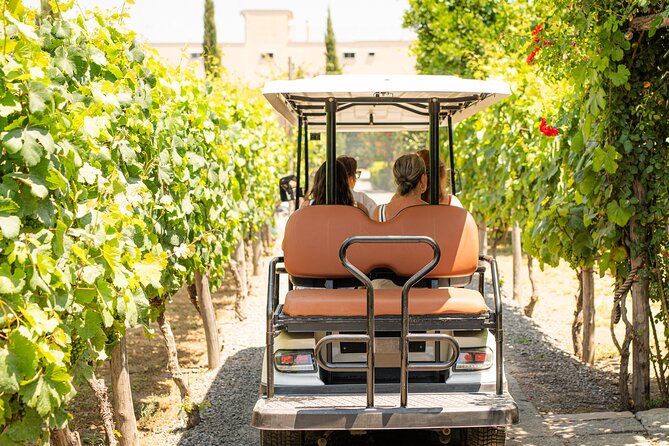 From Vineyard to Table: Wine Tasting & Neapolitan Lunch in Pompei - Key points to know before booking