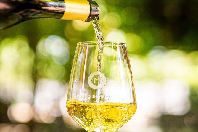 From Vineyard to Table: Wine Tasting & Neapolitan Lunch in Pompei - What the service is like