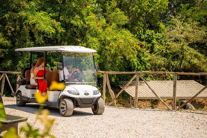 From Vineyard to Table: Wine Tasting & Neapolitan Lunch in Pompei - Is $102.12 a fair price?