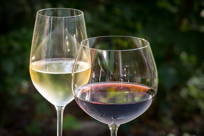 Full day experience | Tasting & art among the Orvieto vineyards - Who should book this experience