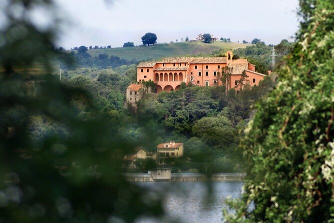 Full day experience | Tasting & art among the Orvieto vineyards - Four hours at Castello di Corbara