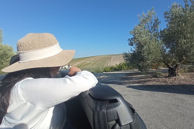Full day in Cordoba between Vineyards and Olive Trees with a Convertible Car - Why this Cordoba day trip feels different