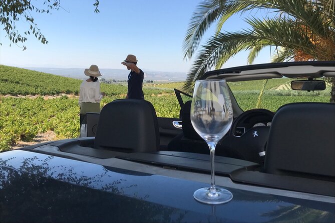 Full day in Cordoba between Vineyards and Olive Trees with a Convertible Car - Leaving Cordoba at 9 a.m. for Montilla
