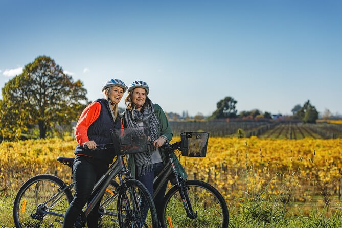 Full-Day Marlborough Wine Region Bike Hire - Key points about the Marlborough wine bike hire