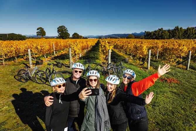 Full-Day Marlborough Wine Region Bike Hire - Starting at 9:30am in Blenheim or The Vines Village