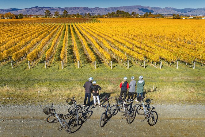 Full-Day Marlborough Wine Region Bike Hire - Building your own winery route