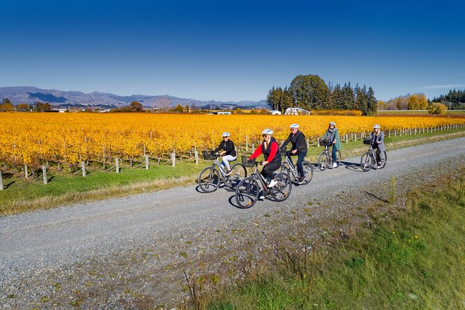 Full-Day Marlborough Wine Region Bike Hire - What the $43 price really buys you