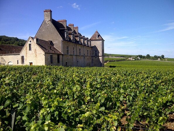 Full-day Private Burgundy Wine Route Tour from Beaune - Key points at a glance