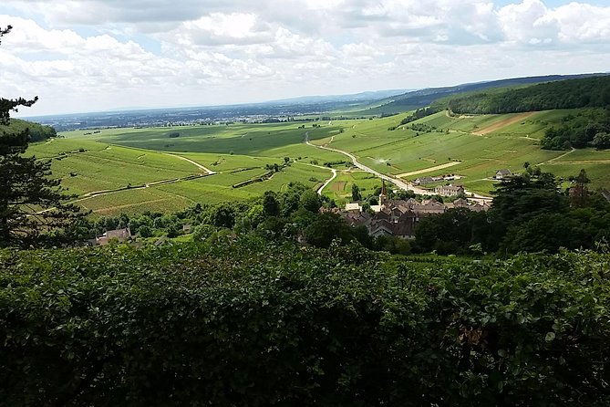Full-day Private Burgundy Wine Route Tour from Beaune - Why a private Burgundy wine day works so well