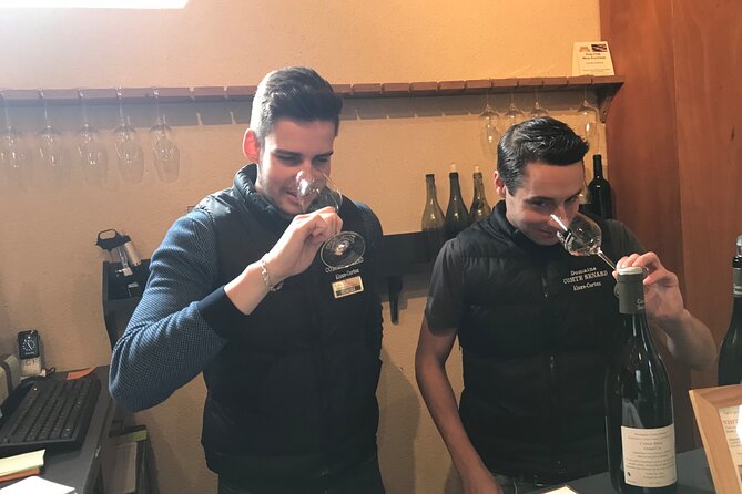 Full-day Private Burgundy Wine Route Tour from Beaune - What the $1,200.24 price really buys