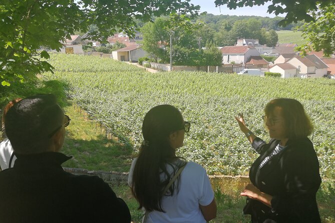 Full-Day Private Champagne Tasting in Reims and its Vineyards - Why the TGV makes Champagne possible in one day