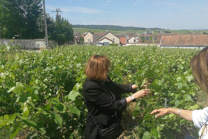 Full-Day Private Champagne Tasting in Reims and its Vineyards - Lunch at Bezannes is comfortable, but not rustic