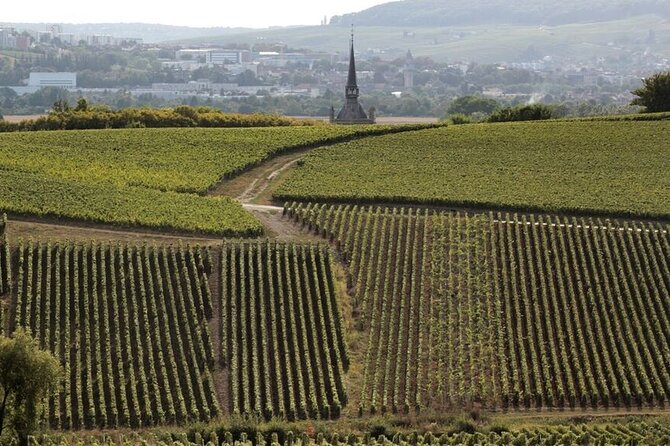 Full-Day Private Champagne Tasting in Reims and its Vineyards - What the private format is really worth