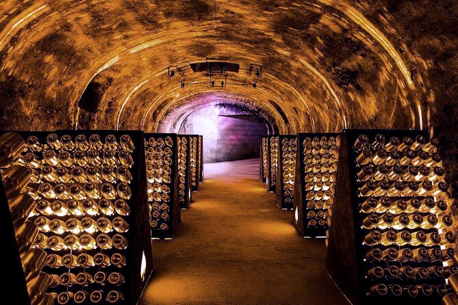 Full-Day Private Champagne Tasting in Reims and its Vineyards - Who will enjoy this Champagne day most