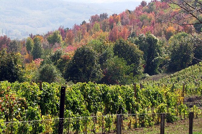 Full-Day Private Royal Heritage Tour to Oplenac With a Winery Visit - What the private format is worth