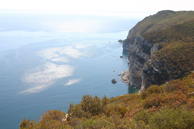 Full Day Private Tour - Arrábida Beaches and Azeitão Wine Region - Figueirinha Beach and the option to swim