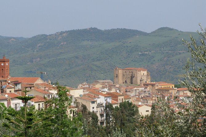 Full Day Private Tour in Medieval Villages and Vineyard in Cefalù - Fiasconaro and the sweet finish
