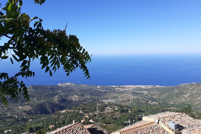 Full Day Private Tour in Medieval Villages and Vineyard in Cefalù - Transport, guides, and the private advantage