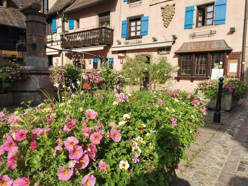 Full Day Safari Tour Villages & Vineyards Wine tasting - Key points at a glance