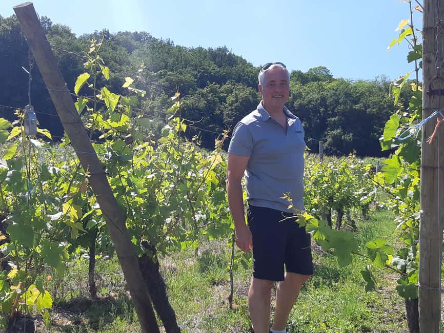 Full Day Safari Tour Villages & Vineyards Wine tasting - Turckheim adds another medieval stop