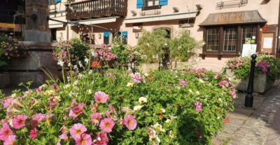 Full Day Safari Tour Villages & Vineyards Wine tasting