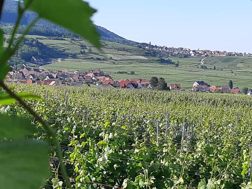 Full Day Safari Tour Villages & Vineyards Wine tasting - Eguisheim brings the postcard finish