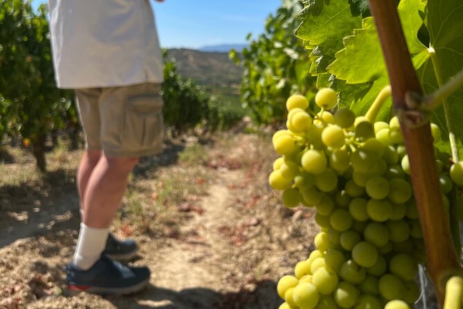 Full Day Tasting The Unknown Rioja Wine Region - Who should book this Rioja day
