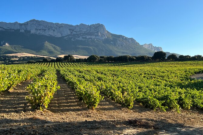 Full Day Tasting The Unknown Rioja Wine Region - Gehry and Calatrava among the vines