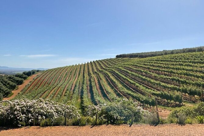 Full Day Tour to Wine Estates Stellenbosch, Franschhoek and Paarl - Paarl closes the tasting route