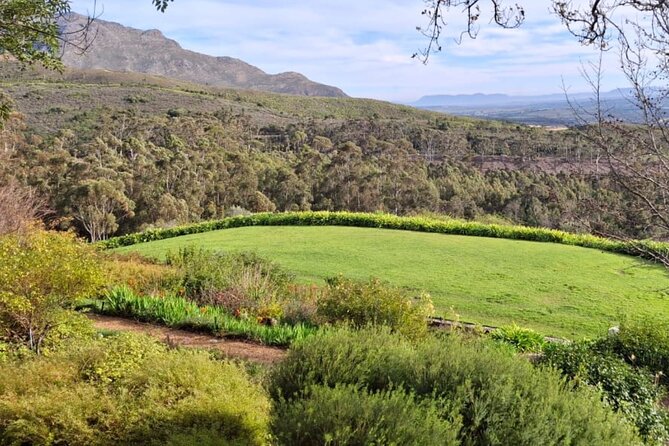 Full Day Tour to Wine Estates Stellenbosch, Franschhoek and Paarl - Guide service and the coach experience