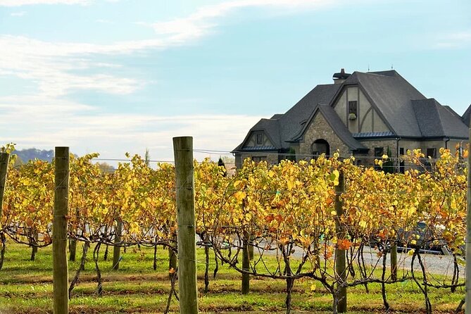 Full-Day Wine Country Wine Tastings From Atlanta - A full day of North Georgia wine without the driving