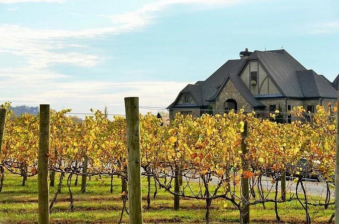 Full-Day Wine Country Wine Tastings From Atlanta - Annette adds energy to the ride
