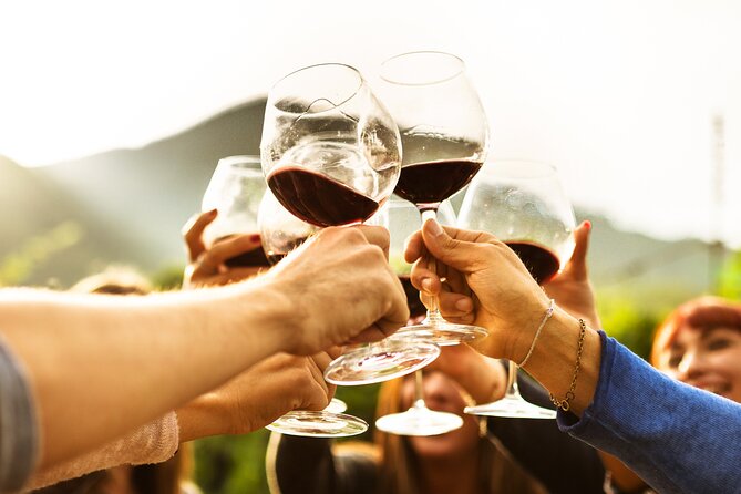 Full-Day Wine Tasting Tour in Auckland with 3-Course Vineyard Lunch - Is $123.49 a fair price?