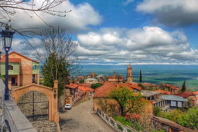 Fully Private Full-Day Kakheti - Wine Region Guided Tour - Key points to know before booking