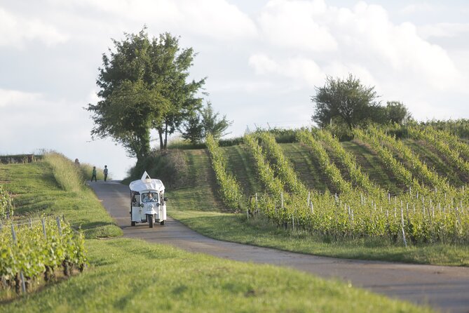 Geneva Panoramic & Tasting Vineyards Tour in an Tuk Tuk - The guides can shape the whole day