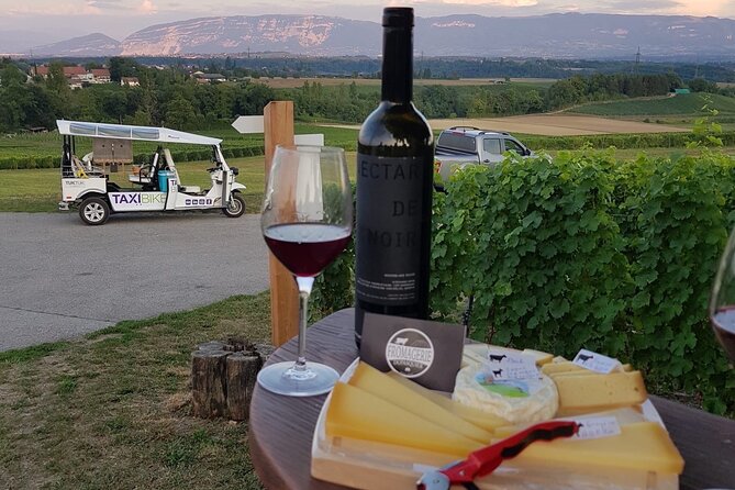 Geneva Panoramic & Tasting Vineyards Tour in an Tuk Tuk - Who will enjoy this tour most