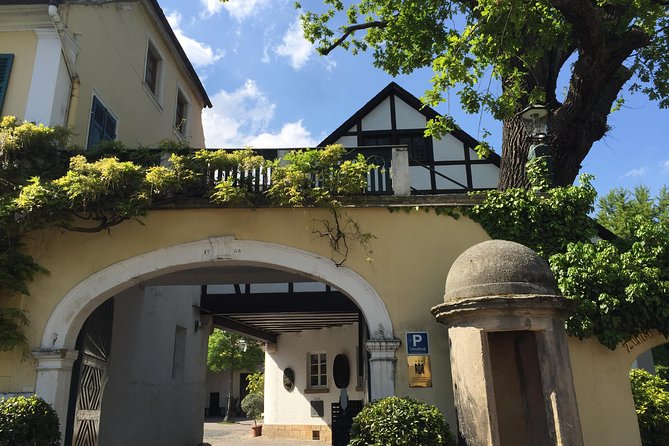 Get Pfalzed - wine tour to unique wine region to taste Red wines - From Heidelberg to the Pfalz vineyards