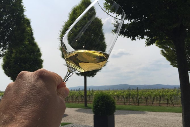 Get Pfalzed - wine tour to unique wine region to taste Red wines - Who should book this Pfalz wine day?