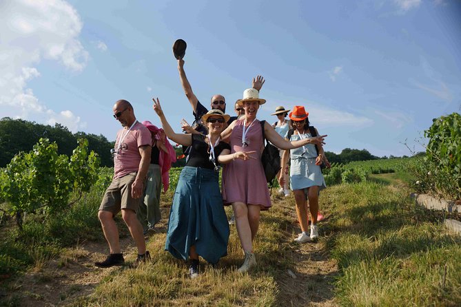 Gourmet walk in the heart of the vineyards with Champagne tasting near Epernay - Key points to know before booking