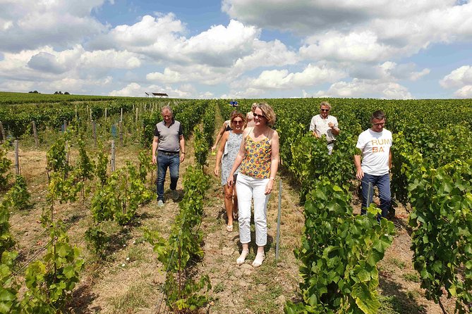 Gourmet walk in the heart of the vineyards with Champagne tasting near Epernay - From Cumières into the Champagne vines