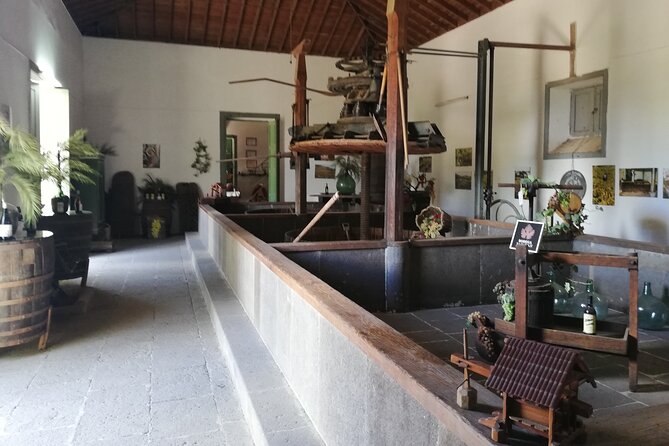 Gran Canaria Premium Tour: Volcanoes and Wine for cruisers - Santa Brígida, with time for a real meal