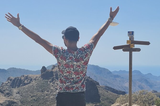 Gran Canaria Premium Tour: Volcanoes and Wine for cruisers - Caldera de los Marteles and cultivated volcanic soil