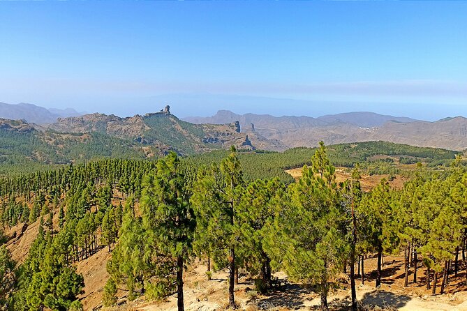 Gran Canaria Premium Tour: Volcanoes and Wine for cruisers - Bodega San Juan and the taste of local wine