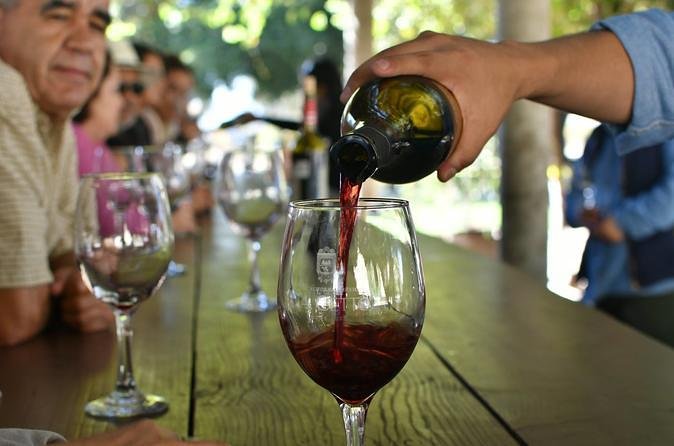 Grand Mexico Wine Country Tour from San Diego - Key points at a glance
