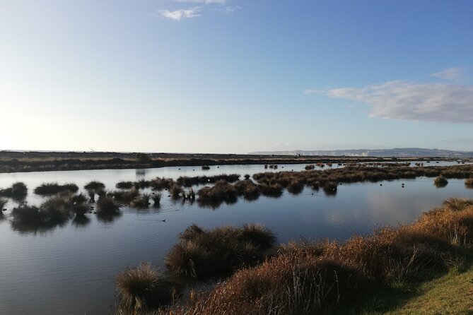 Great Escape Self-Guided Scenic Cycle Winery Tour from Napier - Ātea a Rangi Star Compass and the estuary wetlands