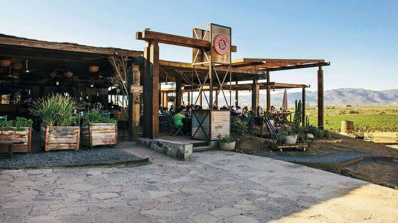 Guadalupe Valley: Complete Wine Route - Why this Baja wine day works