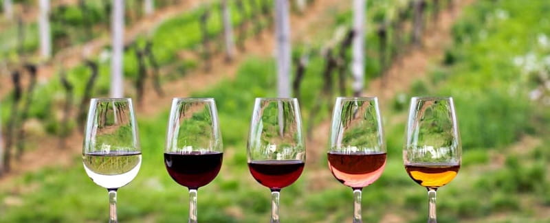 Guadalupe Valley: Complete Wine Route - Three vineyard stops, 75 minutes each