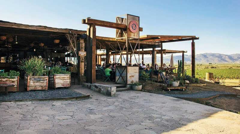 Guadalupe Valley: Complete Wine Route - Is $446 per person fair?